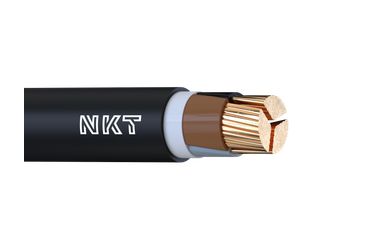 Image of NY2Y 0,6/1 kV cable
