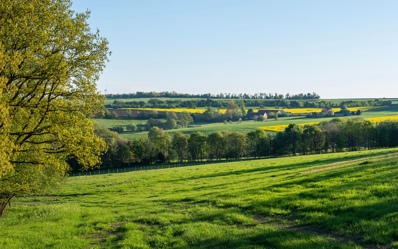 green landscape trees fields