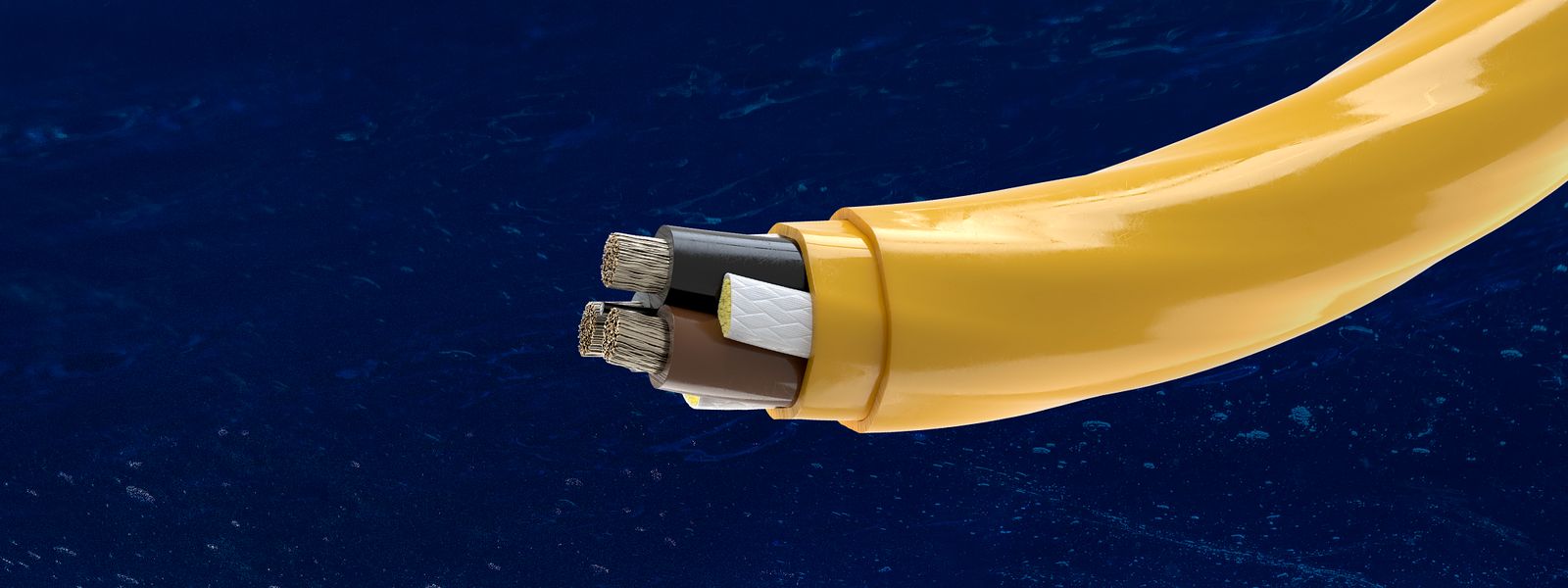 Dynamic Cable
