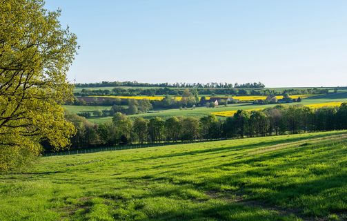 AdobeStock_German landscape - nature park saar-hunsrueck.jpeg