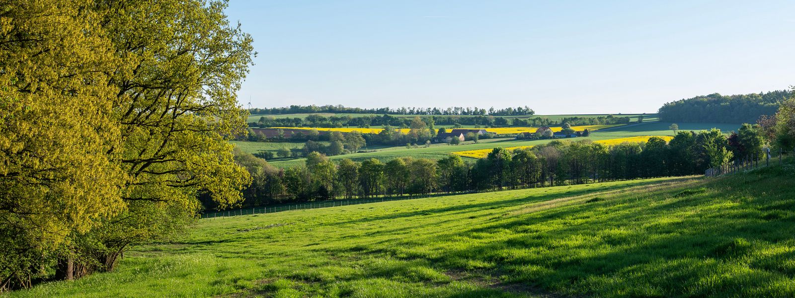 AdobeStock_German landscape - nature park saar-hunsrueck.jpeg